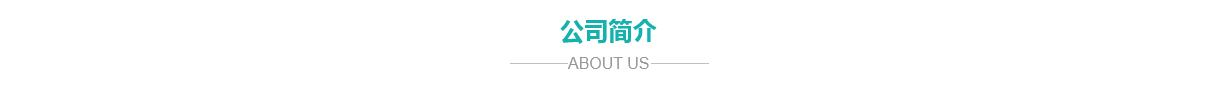 公司簡介 公司簡介