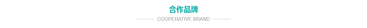 公司簡介 公司簡介