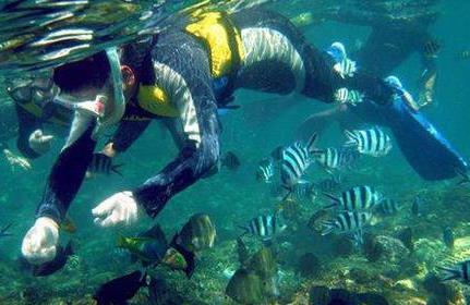 潛水設(shè)備中壓力傳感器應用技術(shù)解決方案